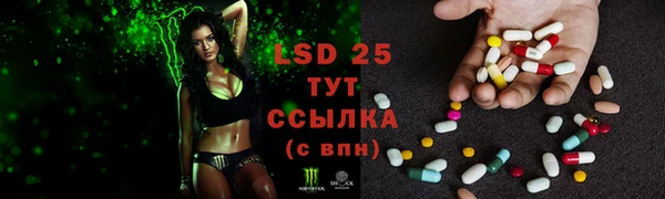 стафф Белокуриха