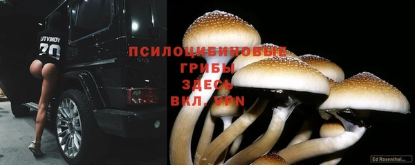 стафф Белокуриха