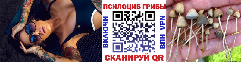 закладки  Красный Холм  Галлюциногенные грибы мухоморы 